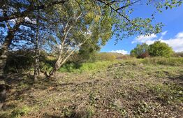 Teren 1023 mp în Cluj-Napoca, zona Câmpului – oportunitate de investiție