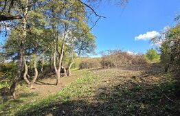 Teren 1023 mp în Cluj-Napoca, zona Câmpului – oportunitate de investiție