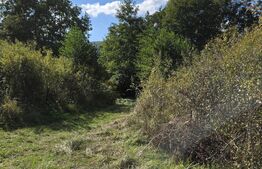 Teren 1023 mp în Cluj-Napoca, zona Câmpului – oportunitate de investiție