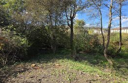 Teren 1023 mp în Cluj-Napoca, zona Câmpului – oportunitate de investiție