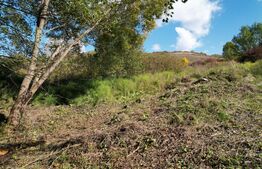 Teren 1023 mp în Cluj-Napoca, zona Câmpului – oportunitate de investiție