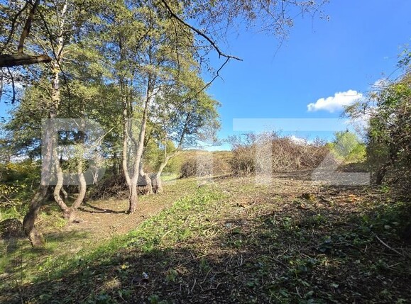 Teren de vânzare Manastur - 192586TV | BLITZ Cluj-Napoca | Poza4