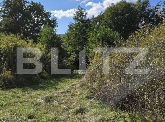 Teren de vânzare Manastur - 192586TV | BLITZ Cluj-Napoca | Poza3