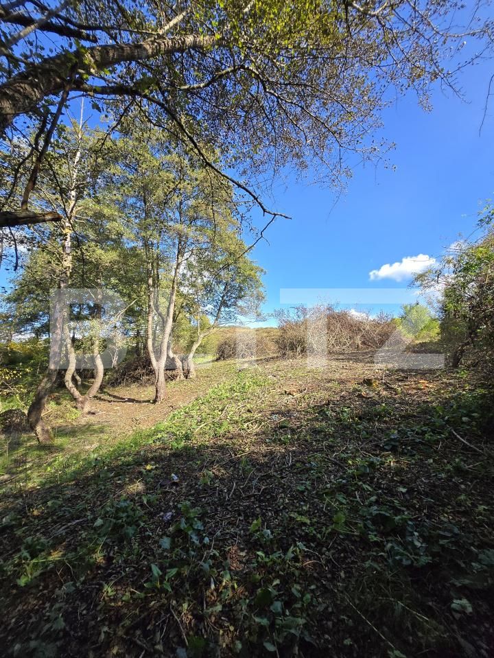 Teren de vânzare Manastur - 192586TV | BLITZ Cluj-Napoca | Poza4