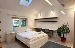 Casa de inchiriat, 50 mp, aer condiționat, curte parțial proprie, Str. Decebal