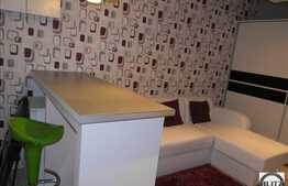 Inchiriere 1 camera, conditii lux, zona Aleea Garbau!