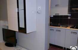 Inchiriere 1 camera, conditii lux, zona Aleea Garbau!