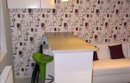 Inchiriere 1 camera, conditii lux, zona Aleea Garbau!