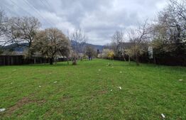 Teren intravilan cu 2 deschideri la drum 35 m, 4300 mp, Baciu Sacele - Brasov