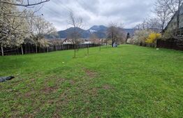 Teren intravilan cu 2 deschideri la drum 35 m, 4300 mp, Baciu Sacele - Brasov