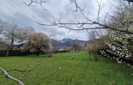 Teren intravilan cu 2 deschideri la drum 35 m, 4300 mp, Baciu Sacele - Brasov