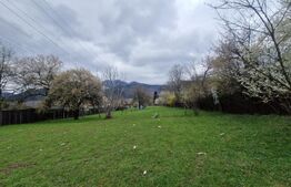 Teren intravilan cu 2 deschideri la drum 35 m, 4300 mp, Baciu Sacele - Brasov