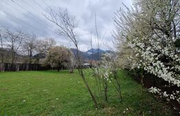 Teren intravilan cu 2 deschideri la drum 35 m, 4300 mp, Baciu Sacele - Brasov