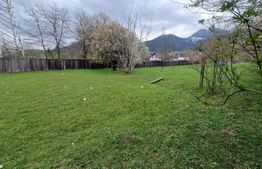 Teren intravilan cu 2 deschideri la drum 35 m, 4300 mp, Baciu Sacele - Brasov