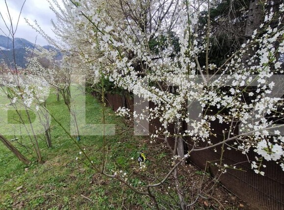 Teren de vânzare Sacele - 192622TV | BLITZ Brașov | Poza6