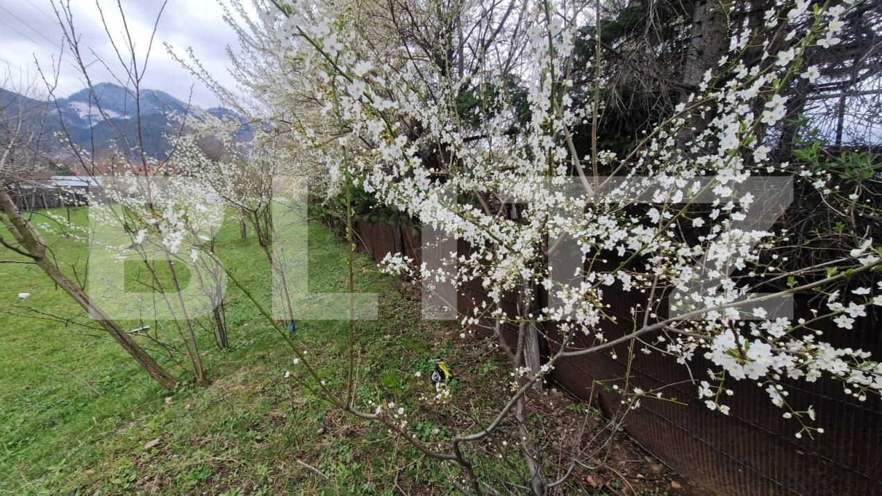 Teren de vânzare Sacele - 192622TV | BLITZ Brașov | Poza6