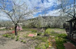 Locuinta in Ticu-Colonie (Casa de vacanta la un pret corect!)