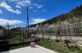 Locuinta in Ticu-Colonie (Casa de vacanta la un pret corect!)