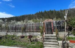 Locuinta in Ticu-Colonie (Casa de vacanta la un pret corect!)
