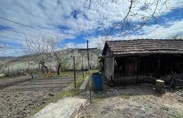 Locuinta in Ticu-Colonie (Casa de vacanta la un pret corect!)