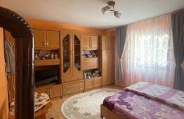 Locuinta in Ticu-Colonie (Casa de vacanta la un pret corect!)