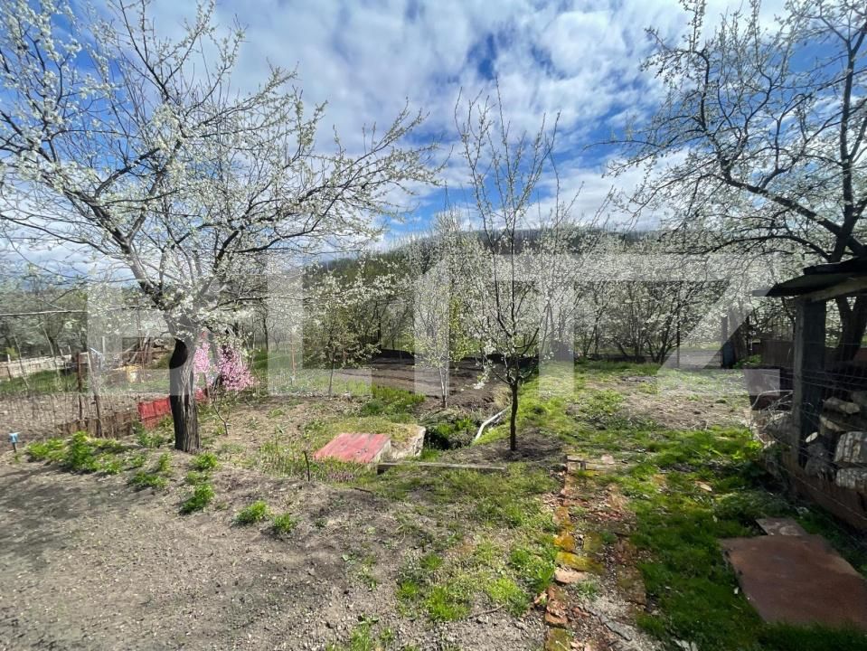 Casa de vânzare 2 camere Gilău - 192652CV | BLITZ Cluj-Napoca | Poza2