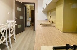 Apartament la cheie, 2 camere + nisa de dormit, 60 mp, Park Lake 