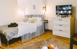 Garsoniera de vanzare, 28 mp, zona BIG!