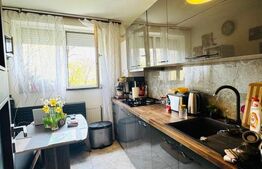 Apartament de vanzare, 2 camere, etaj 1, Tractorul