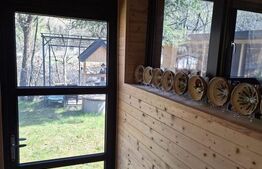 Casa de vacanta 4 camere, 100 mp, teren 768 mp, Dealu Mare, Comuna Marisel