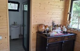 Casa de vacanta 4 camere, 100 mp, teren 768 mp, Dealu Mare, Comuna Rasca