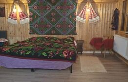 Casa de vacanta 4 camere, 100 mp, teren 768 mp, Dealu Mare, Comuna Marisel