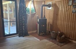 Casa de vacanta 4 camere, 100 mp, teren 768 mp, Dealu Mare, Comuna Rasca