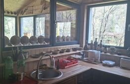 Casa de vacanta 4 camere, 100 mp, teren 768 mp, Dealu Mare, Comuna Marisel