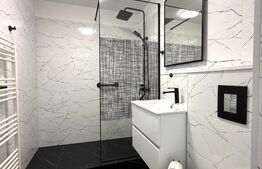 Apartament 2 camere, decomandat, 50 mp, pet friendly, Dionisie Roman 