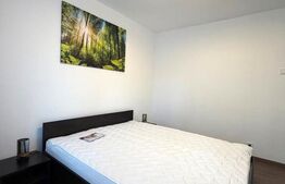 Apartament 2 camere, decomandat, 50 mp, pet friendly, Dionisie Roman 