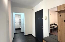 Apartament 2 camere, decomandat, 50 mp, pet friendly, Dionisie Roman 