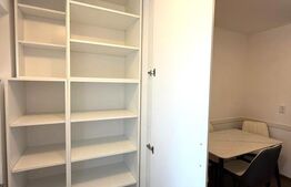 Apartament 2 camere, decomandat, 50 mp, pet friendly, Dionisie Roman 