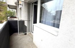 Apartament 2 camere, decomandat, 50 mp, pet friendly, Dionisie Roman 