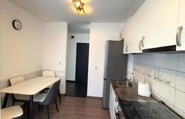 Apartament 2 camere, decomandat, 50 mp, pet friendly, Dionisie Roman 