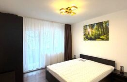 Apartament 2 camere, decomandat, 50 mp, pet friendly, Dionisie Roman 
