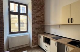 Apartament 1 camera, 27 mp, la casa, Ultracentral