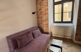 Apartament 1 camera, 27 mp, la casa, Ultracentral