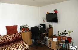 Apartament o camera, zona usor accesibila.