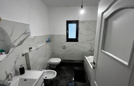 Duplex modern în Dezmir – 249 mp utili, teren generos 597 mp, complet mobilat