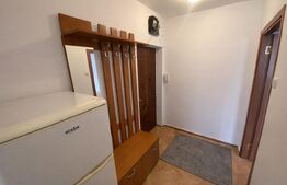 Apartament cu 2 camere, 47 mp, Dâmbul Rotund