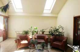 Casa individuala, 240 mp, teren 411 mp. Ideal pentru spatii medicale!