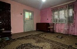 🏡 Casă cu teren generos de 2.300 mp în Cășeiu 