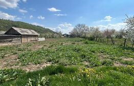 🏡 Casă cu teren generos de 2.300 mp în Cășeiu 