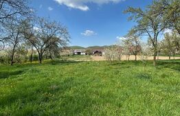 🏡 Casă cu teren generos de 2.300 mp în Cășeiu 